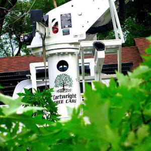 Cartwright Tree Care