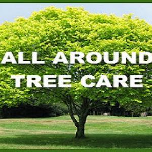 All Around Tree Care