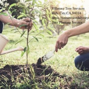 Villatoro Tree Services