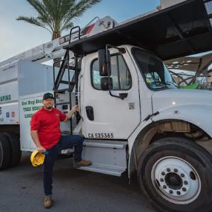 Prodigy Works Tree services.