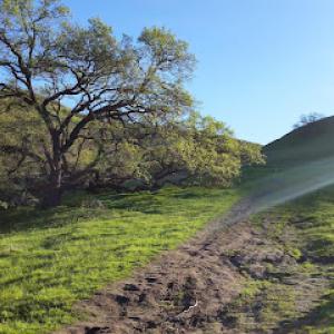 Traverso Tree Service