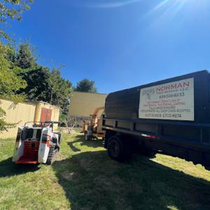 Norman Tree Services