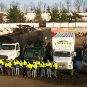 Timberline Tree & Landscape