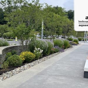 Ascape Landscape & Construction