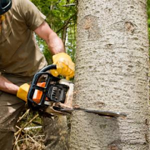 Staley Tree Service