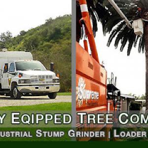 Los Angeles Tree Experts