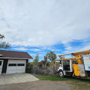Montana Tree Service