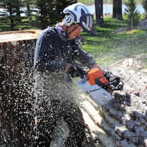 Green Planet Solutions Tree Service