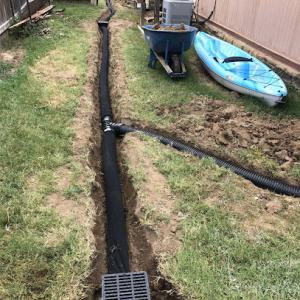 Custom Tree Care & Landscaping