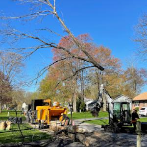 Chameleon Property Services