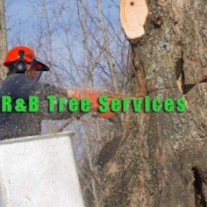 R&B Tree Services