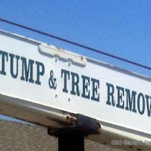 C&D Stump & Tree Removal