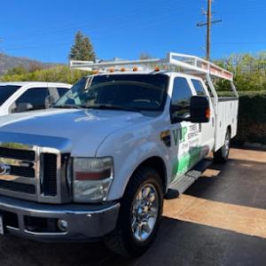 VIP Tree Trimming Services