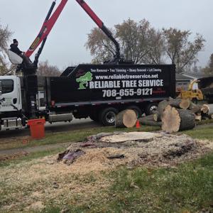 Reliable Tree Service