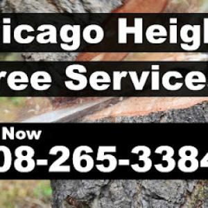 Tree Service Chicago Heights