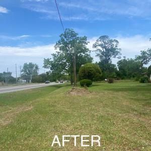 Green Oak Tree Services