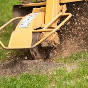 Stump Grinding Guys