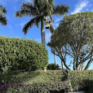 Countywide Tree Service