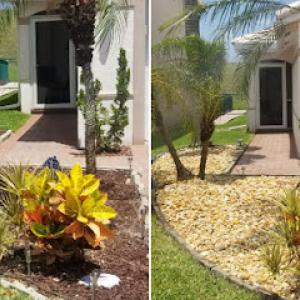 New Solution Landscaping