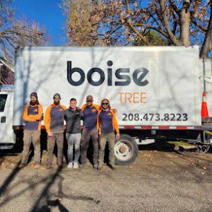 Boise Tree - SavATree