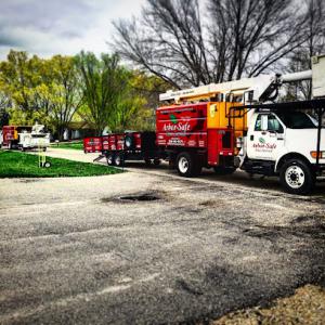 Arbor Safe Tree Service