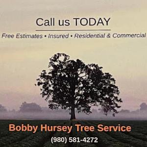 Bobby Hursey Tree Service