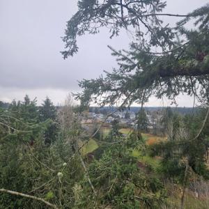 Hyrule Construction & Tree Service