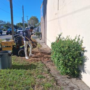 Rutherfords Tree Division