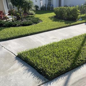 PHS-Professional Horticultural Services