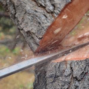 S J Tree Landscaping & Snow Removal