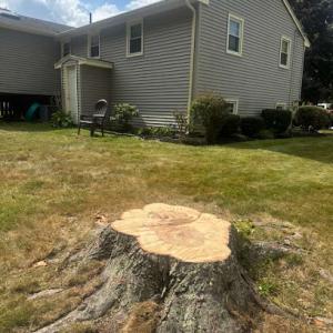 Nelman Tree Service
