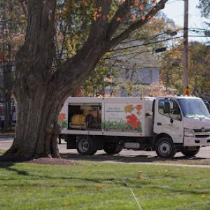 Natural Tree & Lawn Care