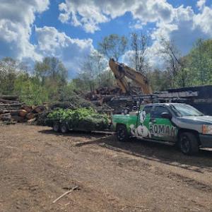 Roman Tree Services