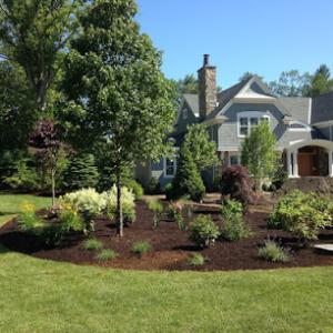 Anchor Tree Care & Landscape Services