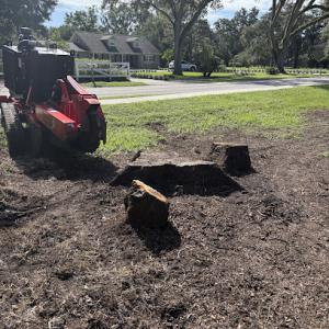 Stump Man Stump Grinding