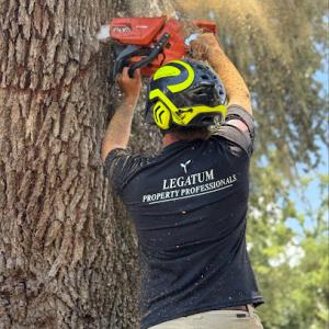 Legatum Property Professionals