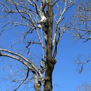 ACWW Land Management