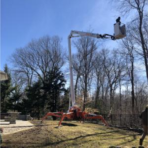 Sandweiss Tree Service