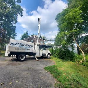 John's Tree Removal