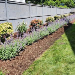 New England Landscapes