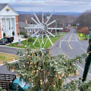 Brothers' Tree Service