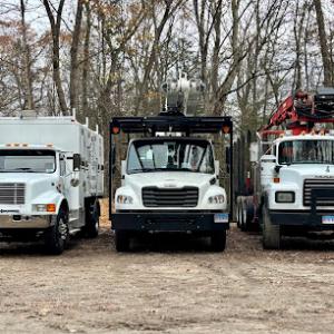 Lone Pine Tree Service