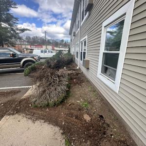 Berdecia Landscaping