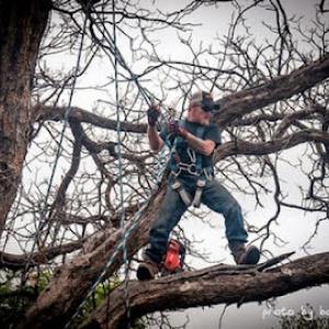 Sam & Sons Tree Care