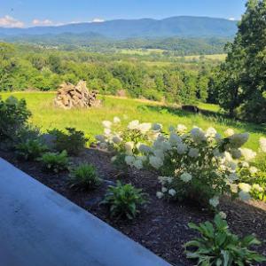 Barrett's Lawn Care & Landscaping