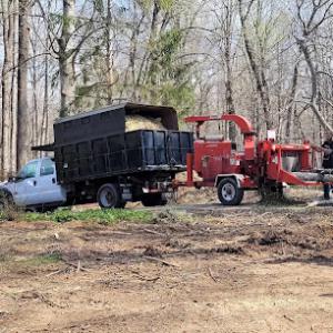 Centreville Tree Services