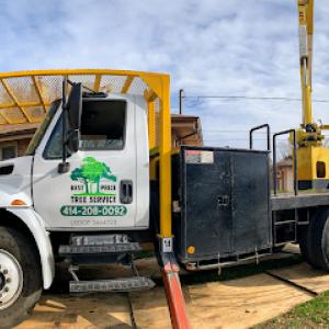 Best Price Tree Services
