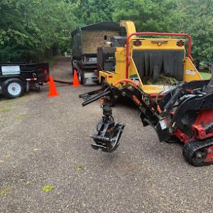 American Arborists Tree Service