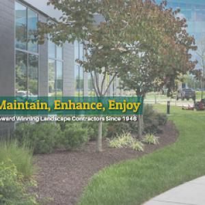 C. Caramanico & Sons, Inc. | Caramanico Landscape