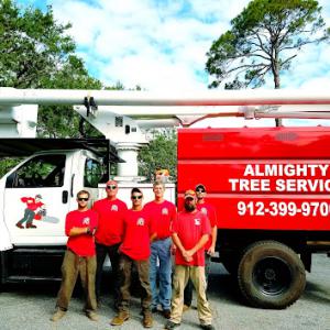 Almighty Tree Service & Landscaping